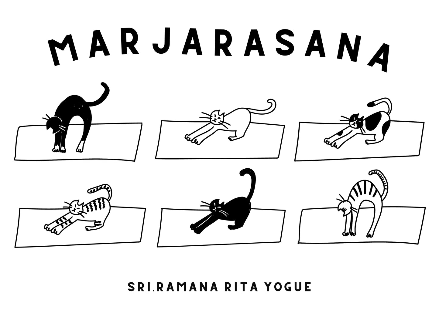 SRI.RAMANA.RITA.YOGUE MARJARASANA 猫のポーズ Tシャツ(ライトブラック×白）