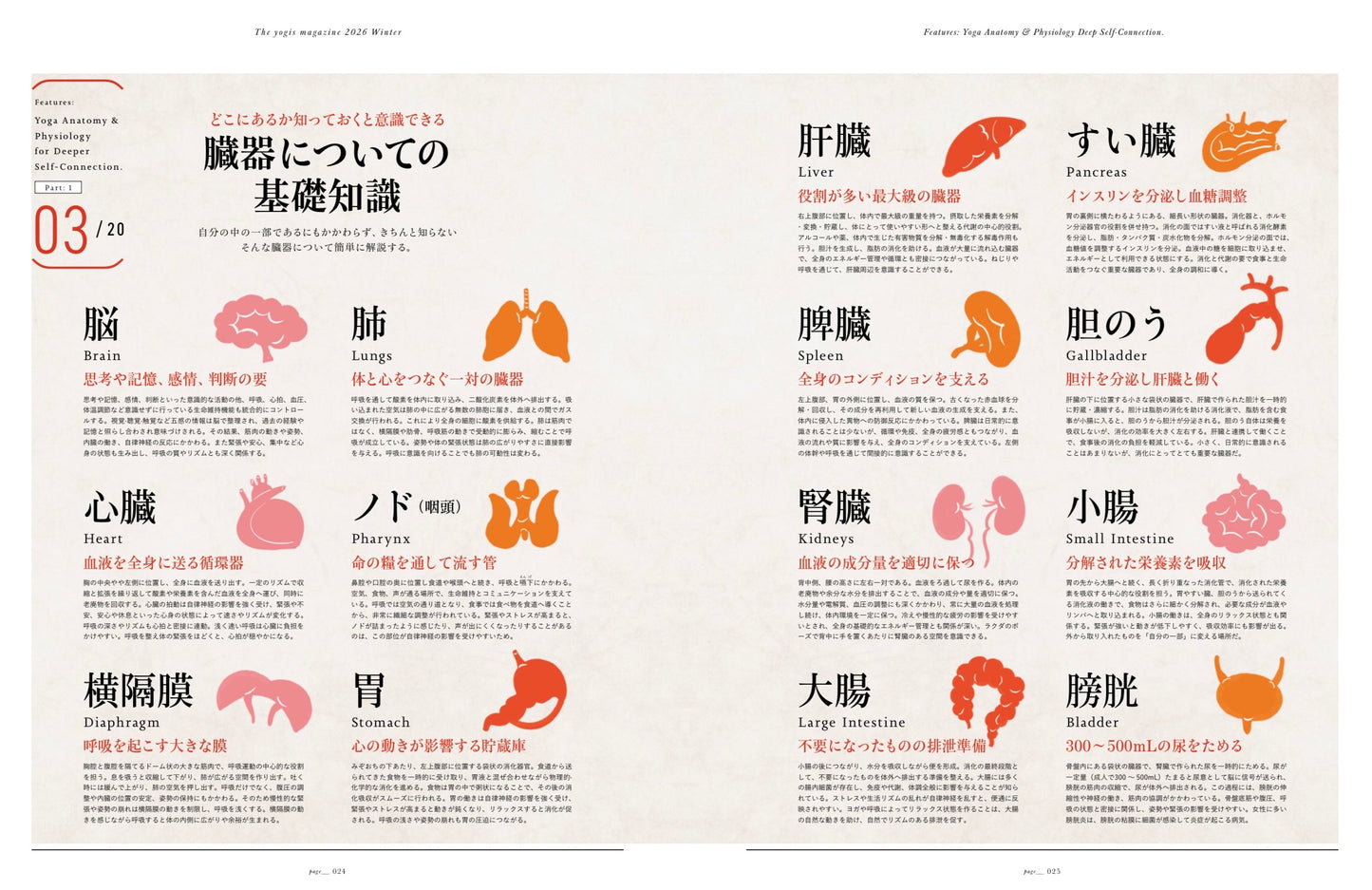 The yogis magazine vol.12