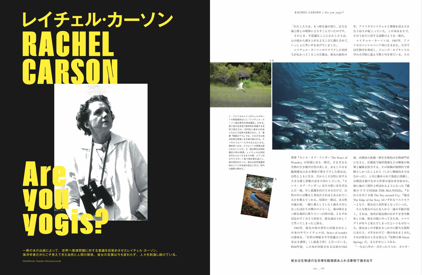 The yogis magazine vol.12