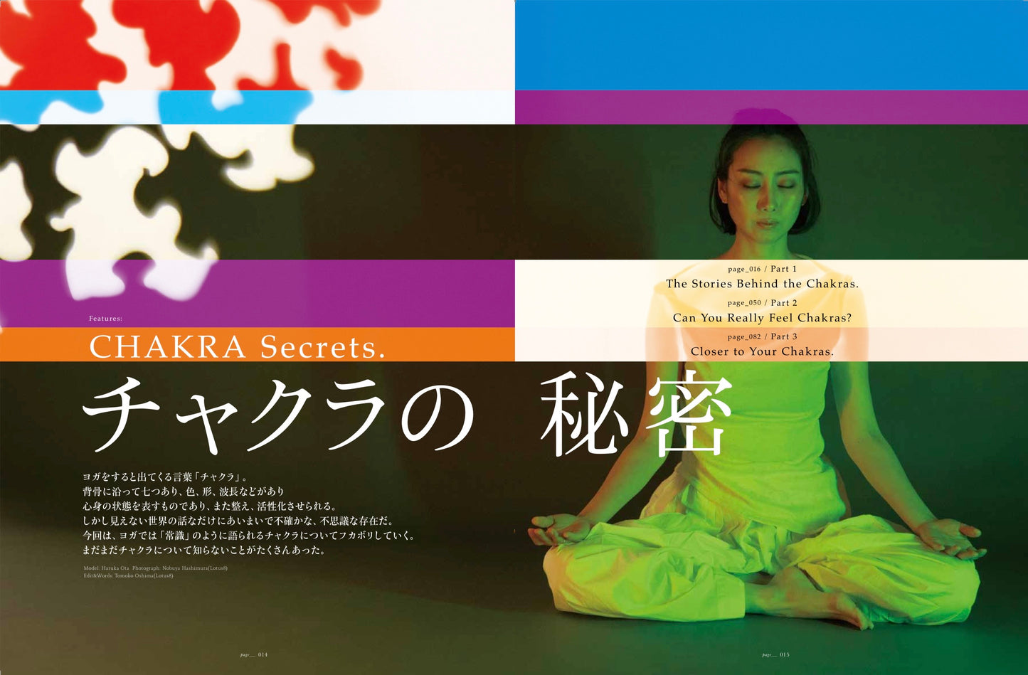 The yogis magazine vol.13